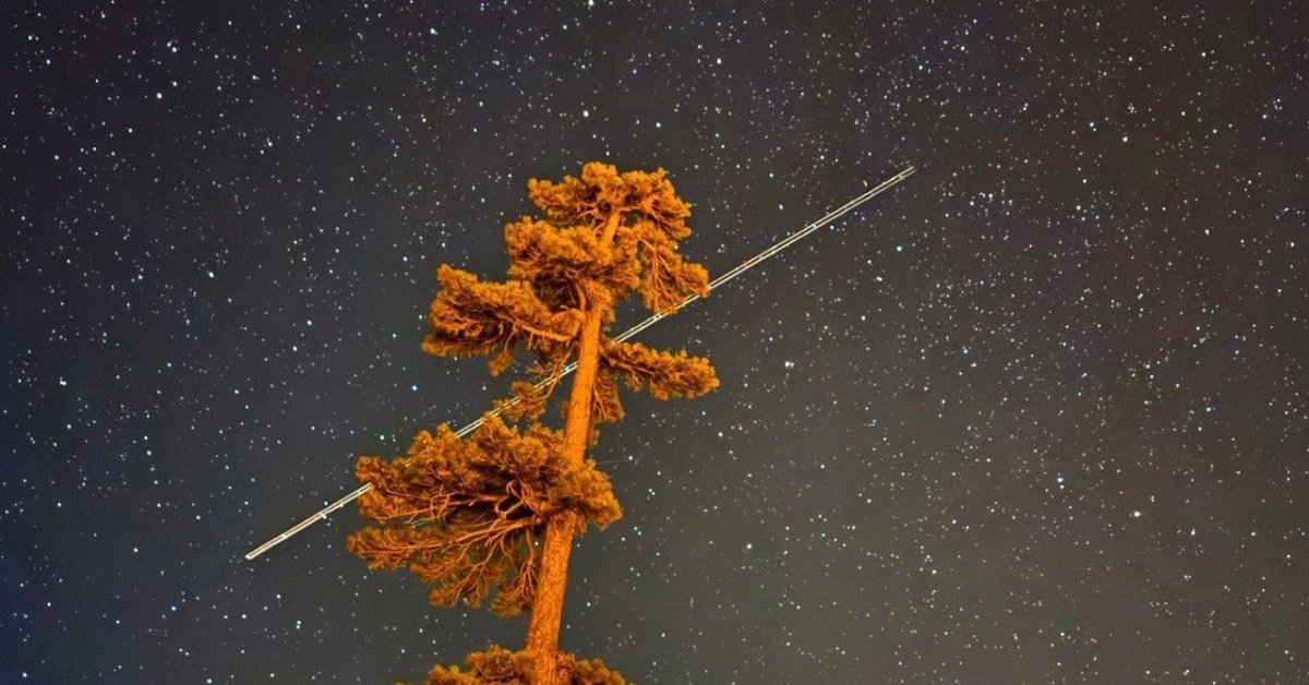 p1626-r1640 Chuva de meteoros em novembro de 2026: Leónidas e Táuridas, datas e como observar
